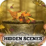 Hidden Scenes - Autumn Harvest Casual Puzzles