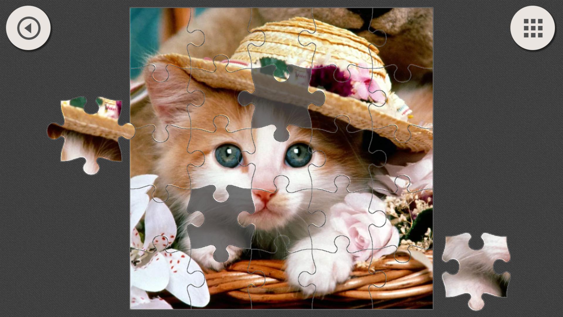 Jigsaw Puzzle - Cats and Dogs_截图_2