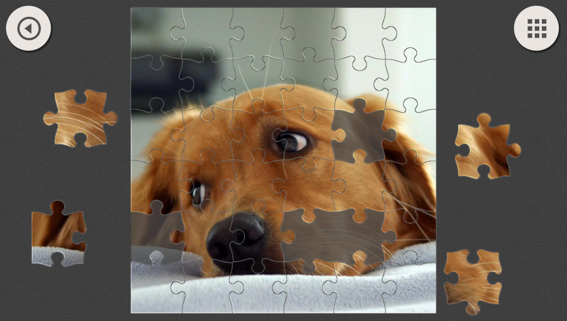 Jigsaw Puzzle - Cats and Dogs_截图_3