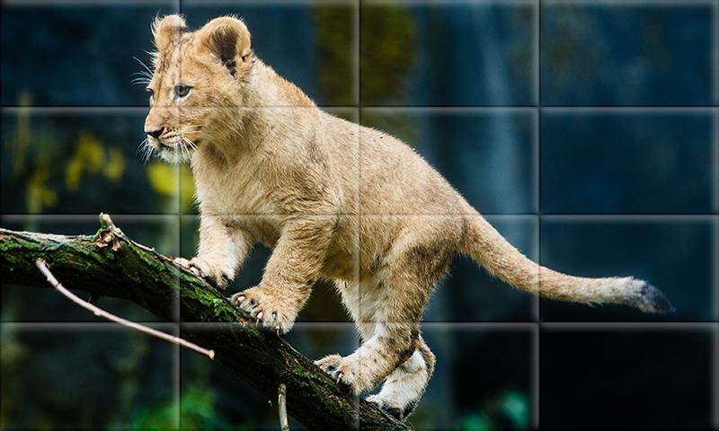 tile puzzle jungle animals