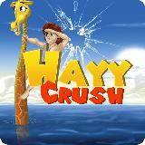 Hayy Crush