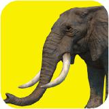 Elephant games free