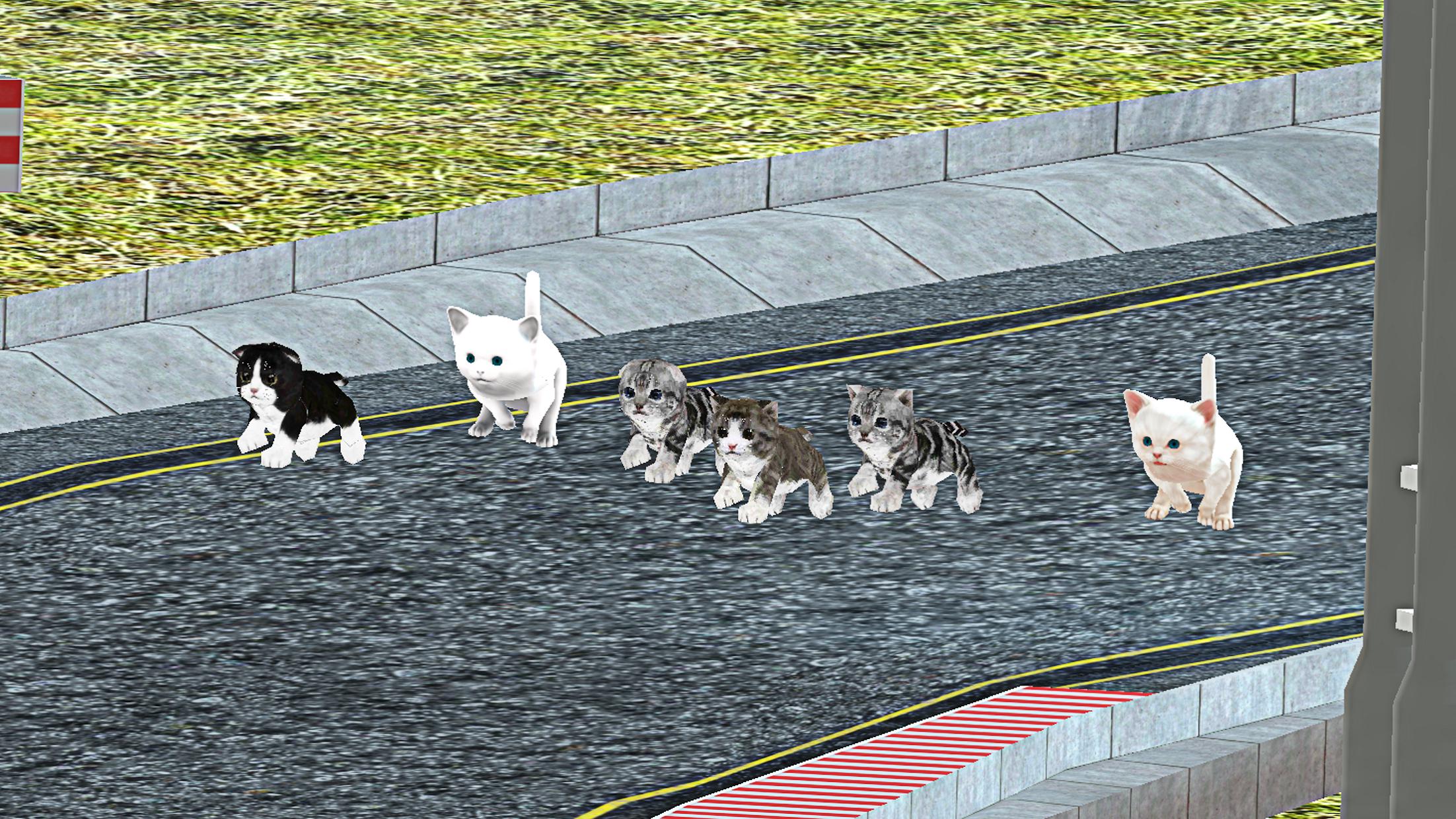 Kitten Cat Craft Racing:Cute Cat World Tournament_截图_5