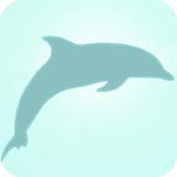 Dolphin Escape Game