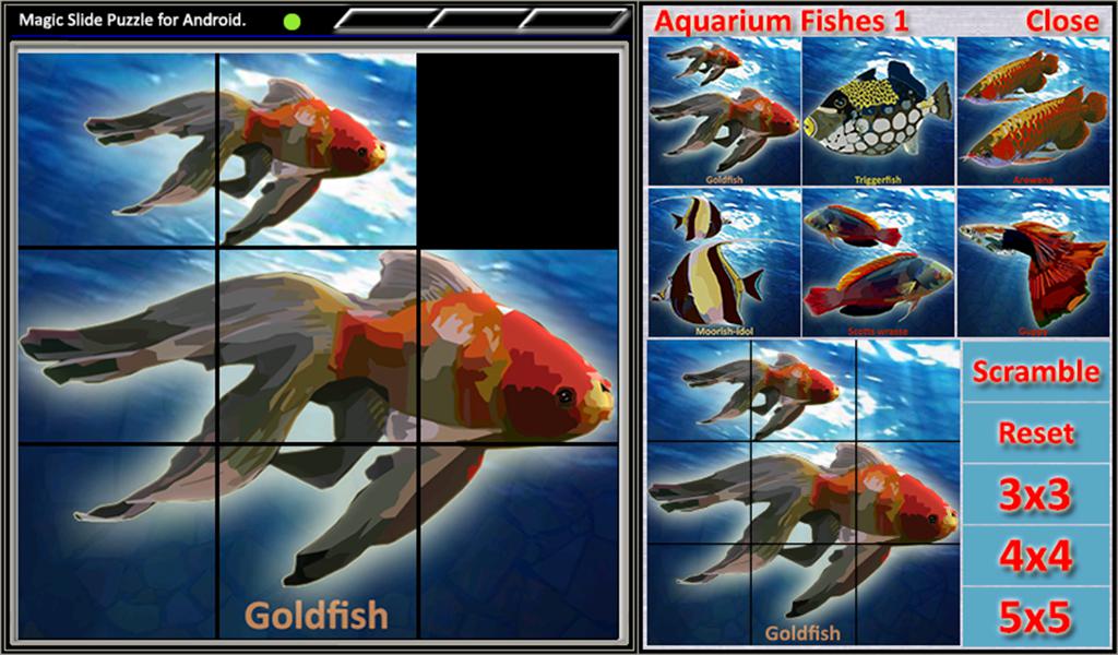 Magic Slide Puzzle A Fishes 1_截图_2