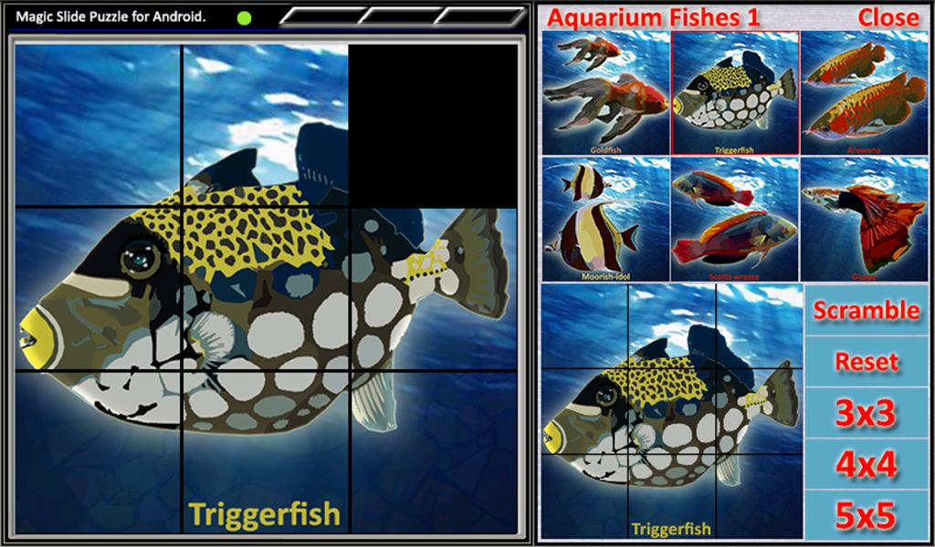 Magic Slide Puzzle A Fishes 1_截图_3