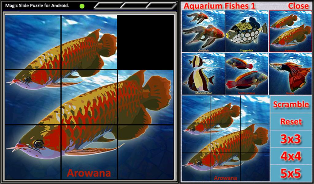 Magic Slide Puzzle A Fishes 1_截图_4