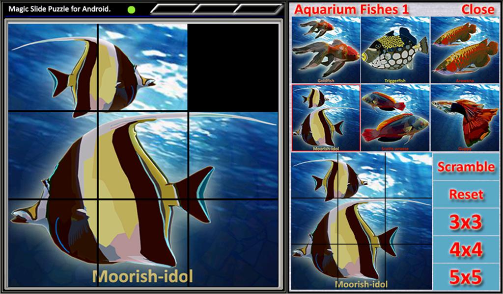 Magic Slide Puzzle A Fishes 1_截图_5