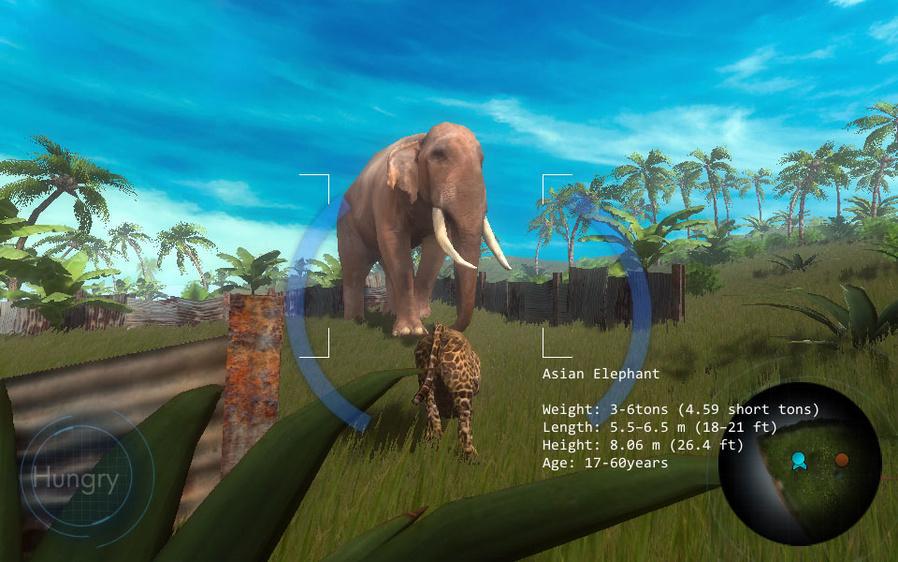 Wild Leopard Simulator 3D_截图_2