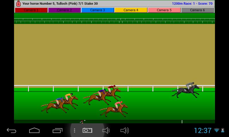 Flat Race Horse Racing_截图_3