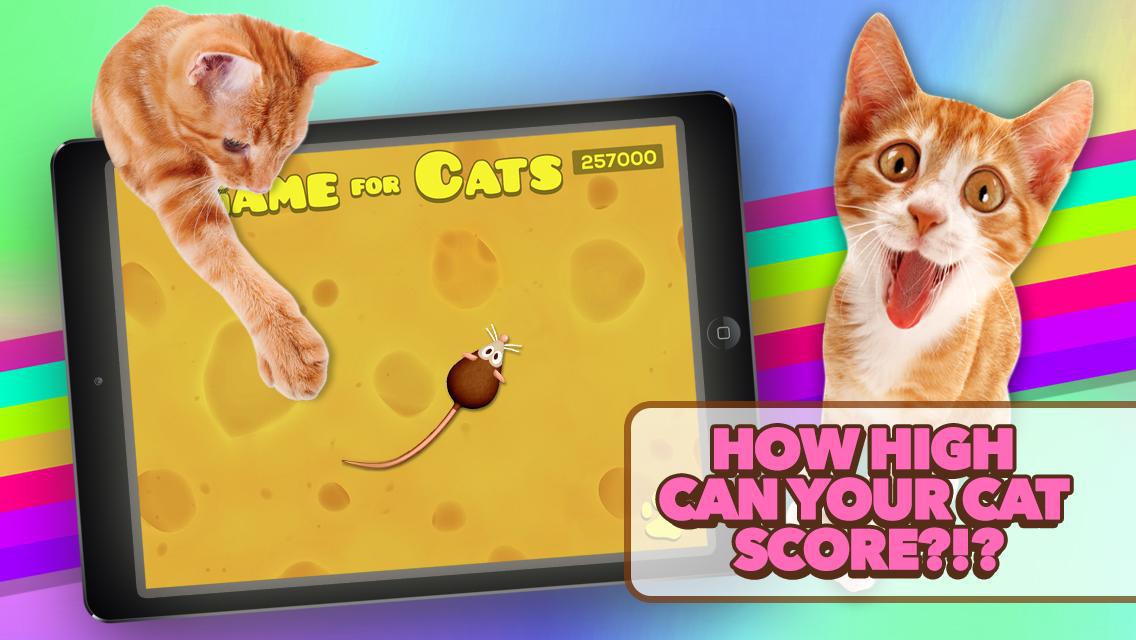 Game for Cats_游戏简介_图4