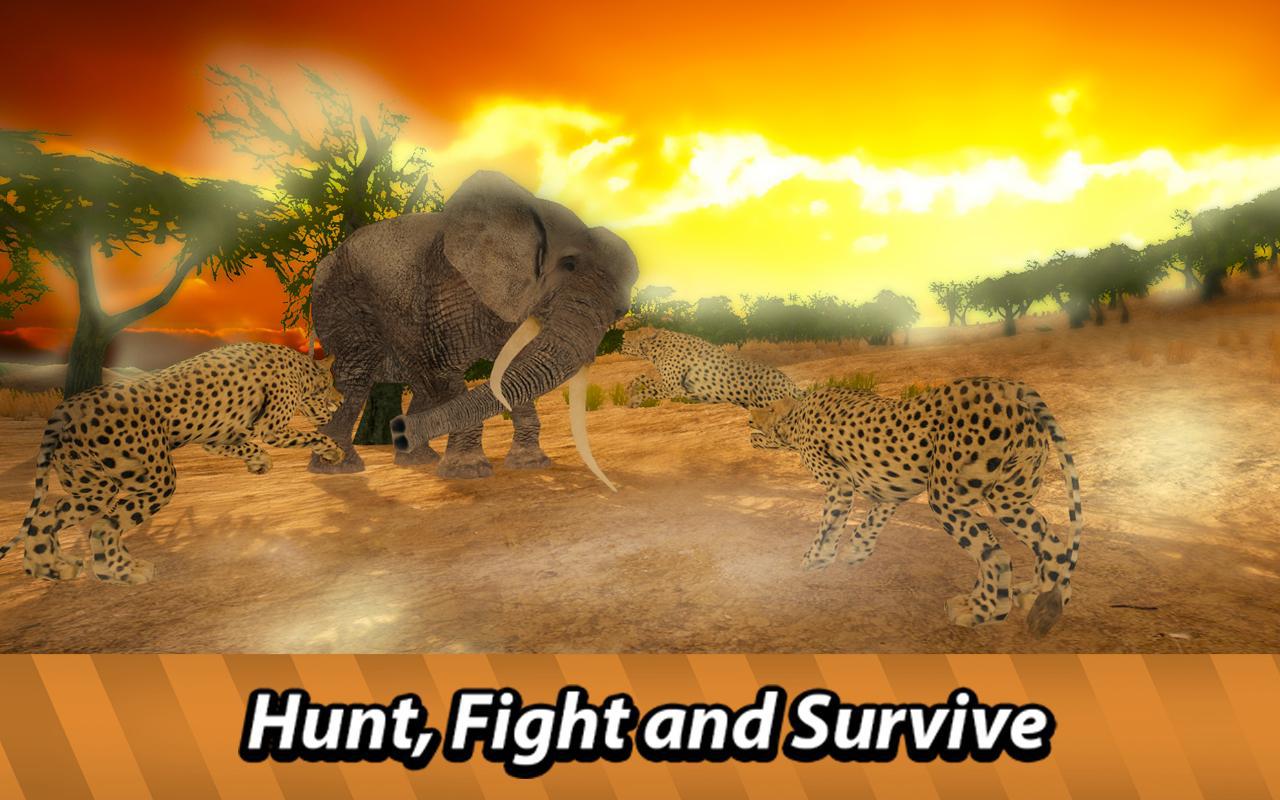 野生豹：非洲动物生存_截图_2