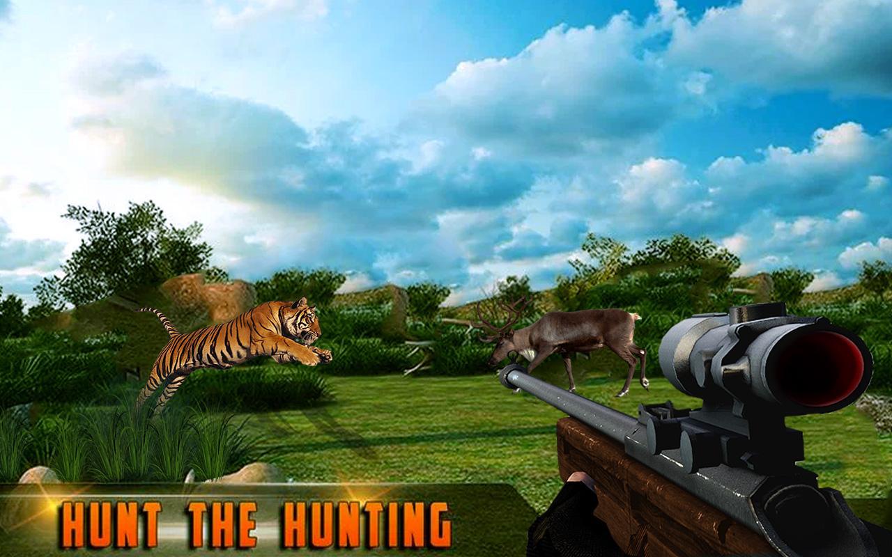 狩猎 专家 Safari浏览器 动物 猎人