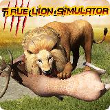 True Lion Simulator