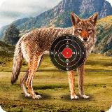 Coyote Target Shooting
