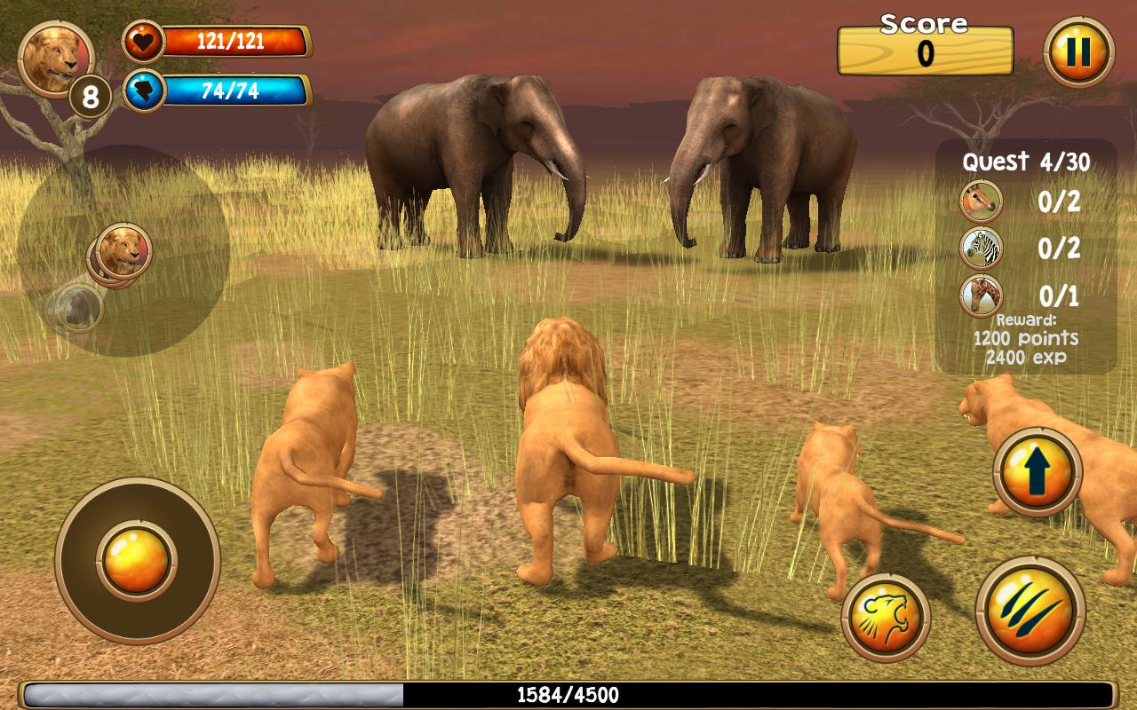 Wild Lion Simulator 3D_截图_2