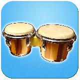 Bongo Drums （djembe，bongo，conga，打击乐）