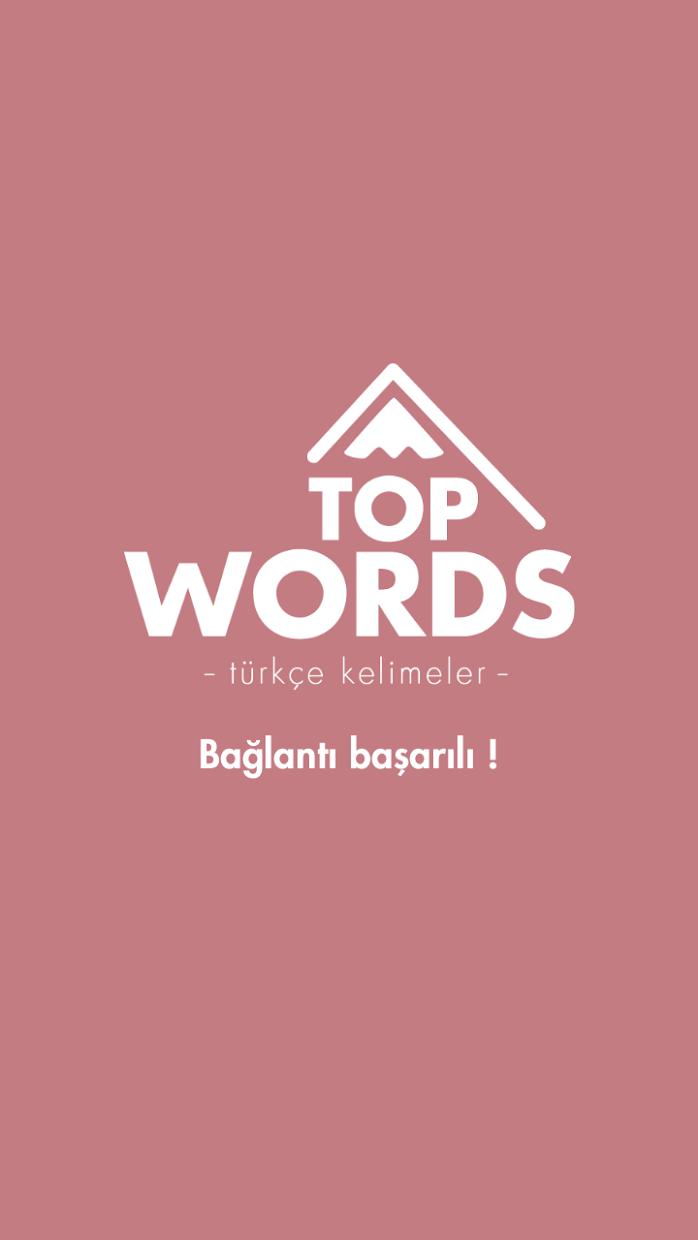 Top Words Türkçe_截图_2