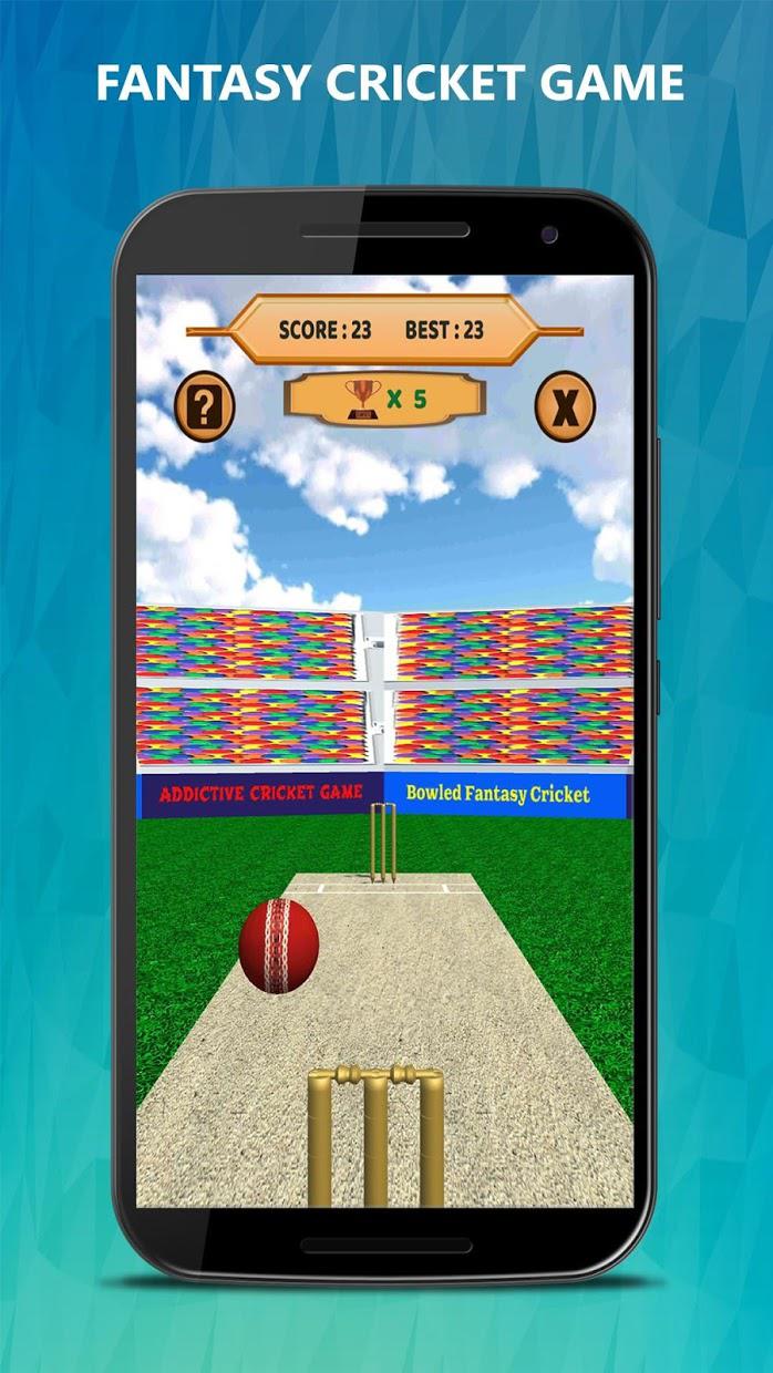 Bowled 3D - Cricket Game