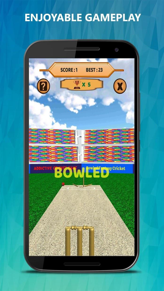 Bowled 3D - Cricket Game_游戏简介_图2