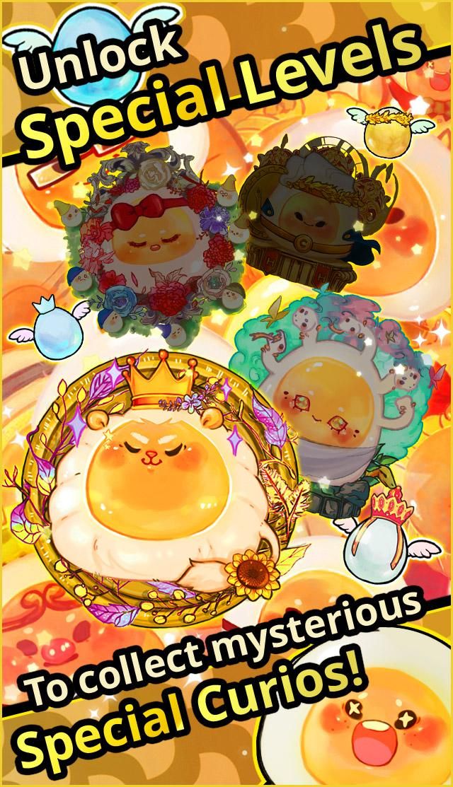 Tama Curios Collection