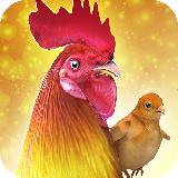 鸡场 - 公鸡 赛跑 - Rooster Chicks