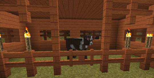 我的世界牛怎么驯服？教你如何把牛从野外带回家 图片1