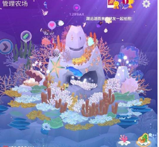 深海水族馆的度假海星在哪