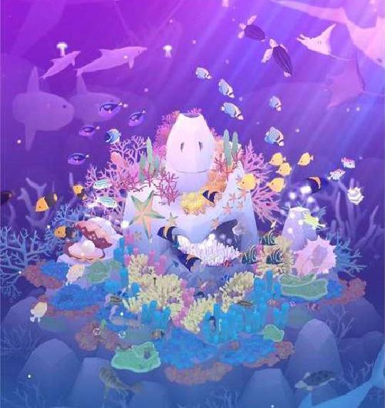 深海水族馆热带风情度假海星