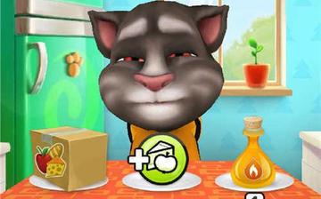 我的汤姆猫 我的汤姆猫
