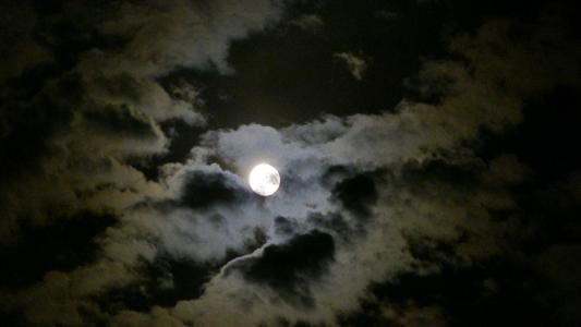 月圆之夜1.jpg