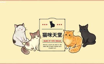 猫咪天堂 猫咪天堂
