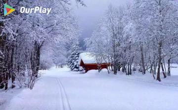 寒雪 寒雪