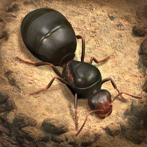 蚂蚁：地下王国