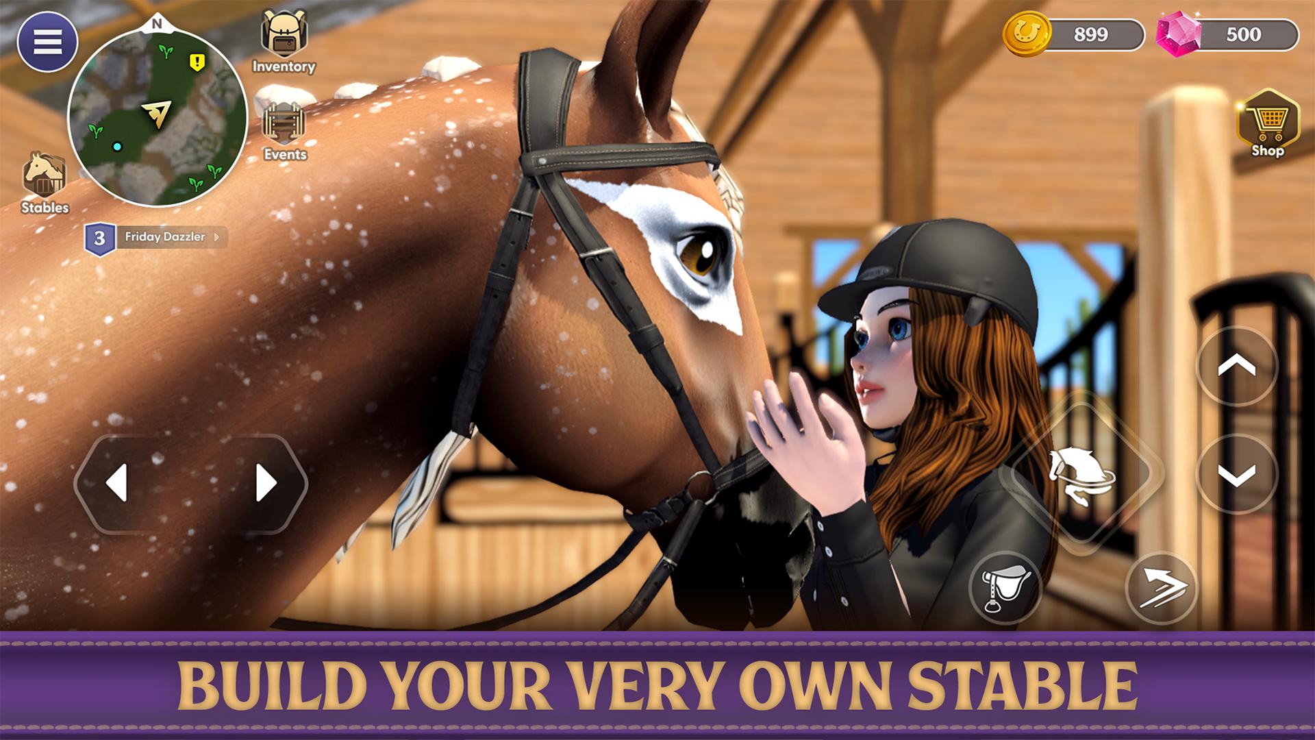 Star Equestrian - Horse Ranch