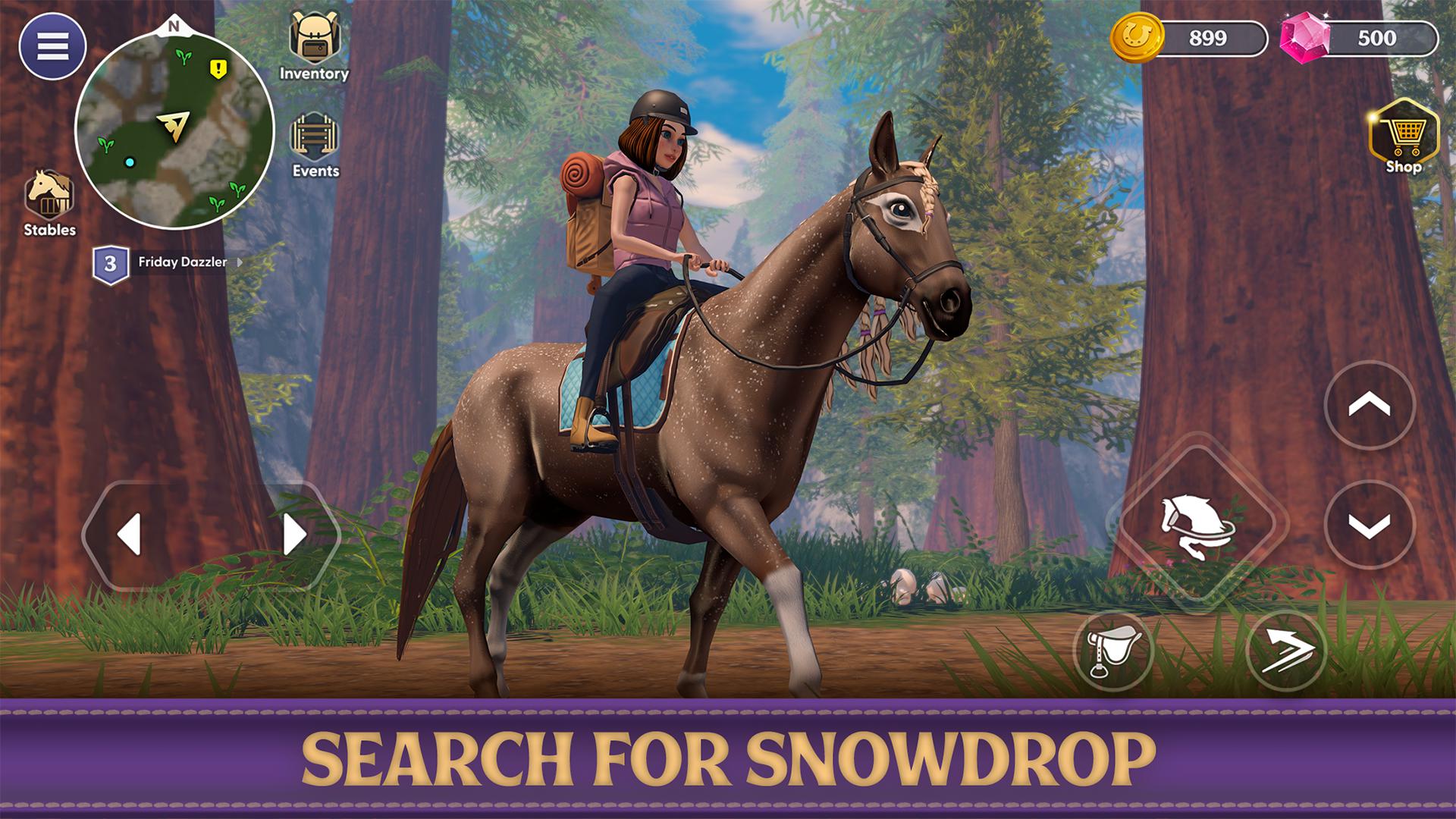 Star Equestrian - Horse Ranch_截图_3