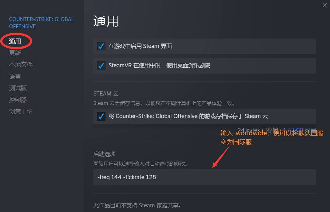 csgo国际服启动项 图片2