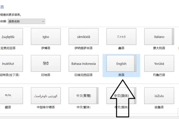 csgo聊天框打不出中文 图片5