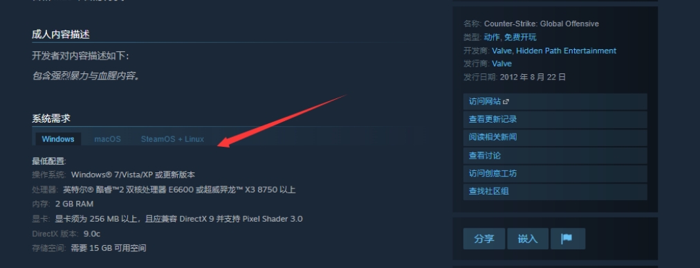 csgo启动过后又自动关闭游戏 图片3