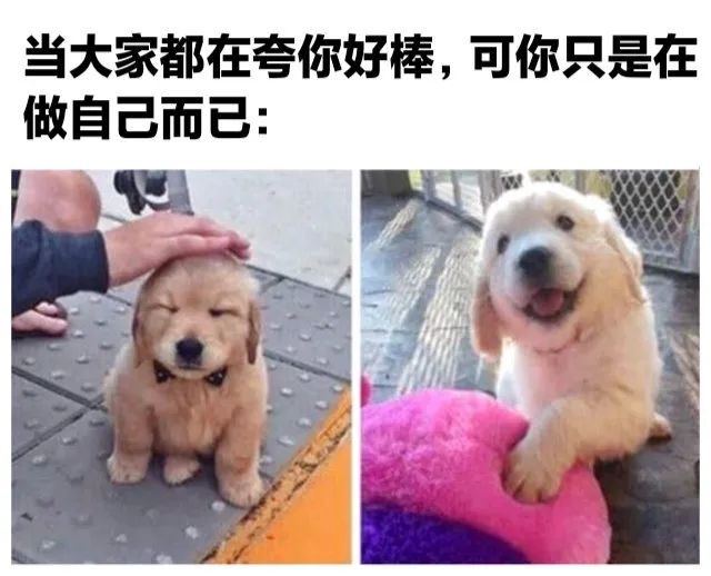 如果停电三天，你会选择什么_图3