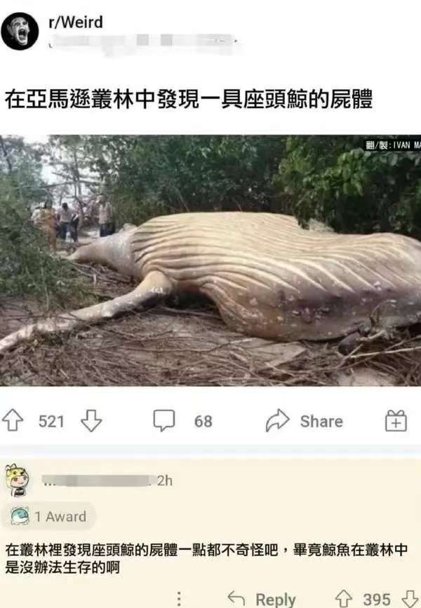 竟然无法反驳_图1