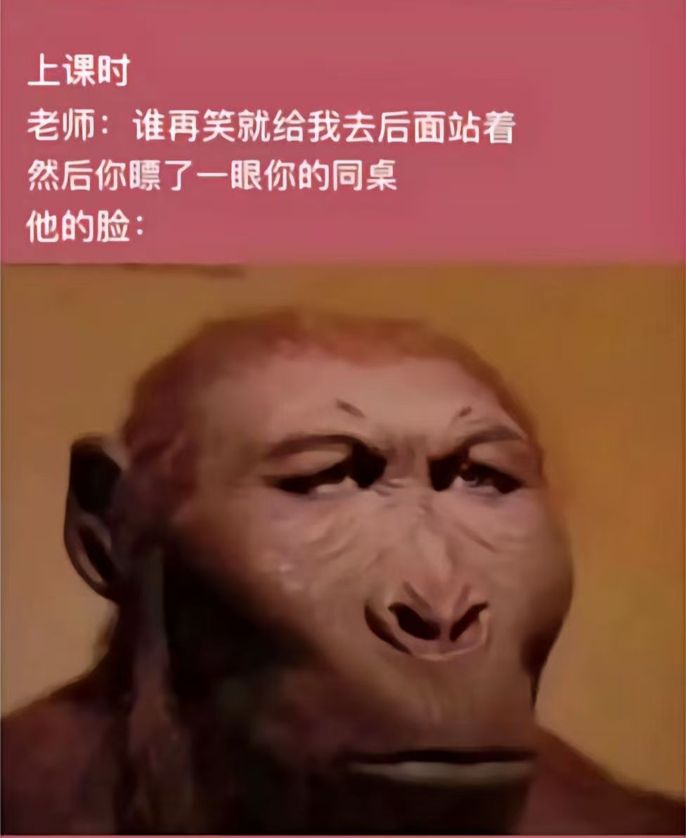 今日份梗图合集_图3