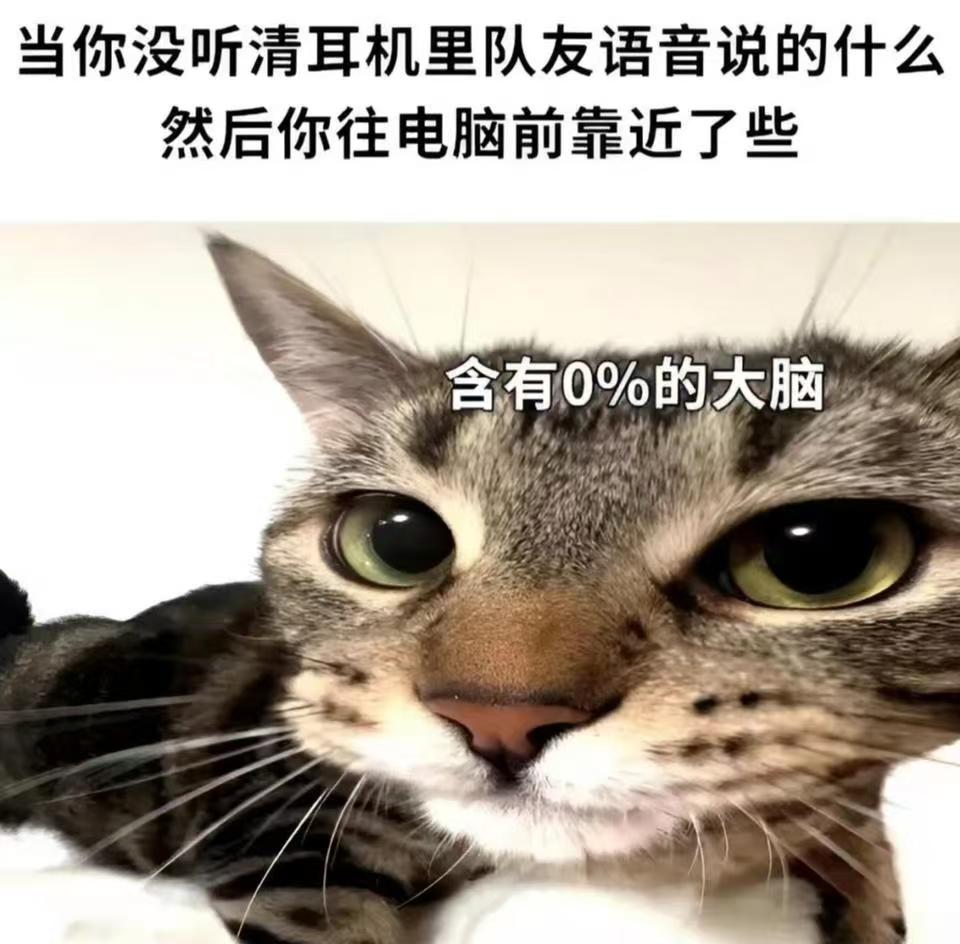 今日份梗图合集_图3