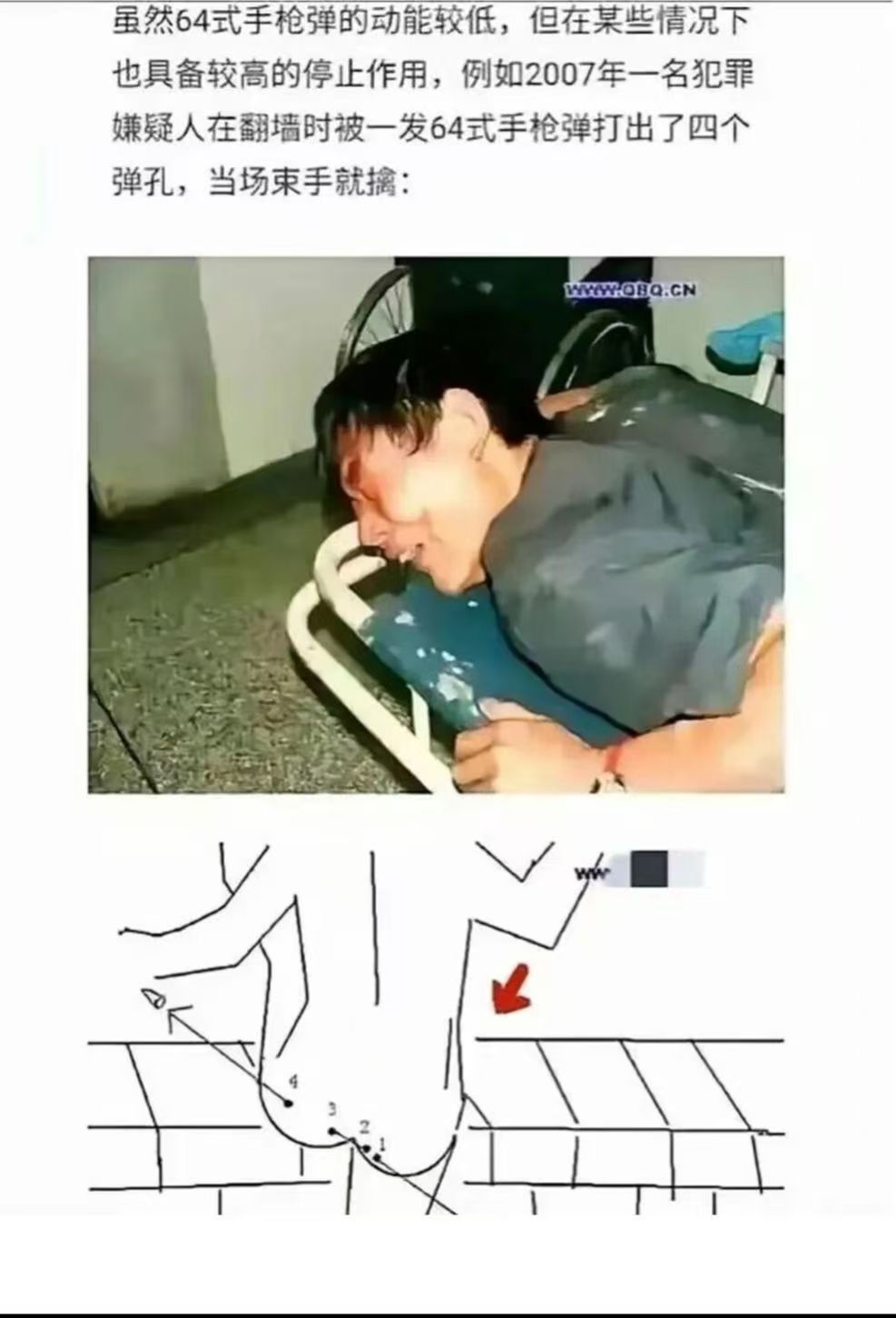 哈哈哈哈哈这子弹也是牛了_图1