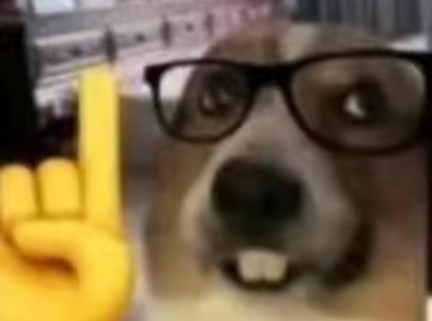 大家能不能进来说一句奇奇怪怪的话然后走掉?_图2