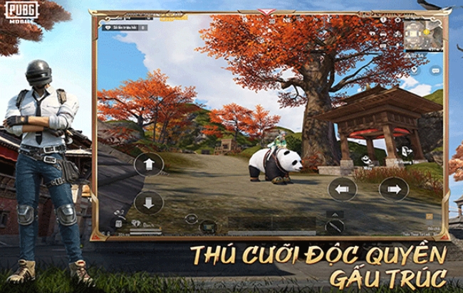 pubg越南服官网地址_pubg越南服官网下载入口