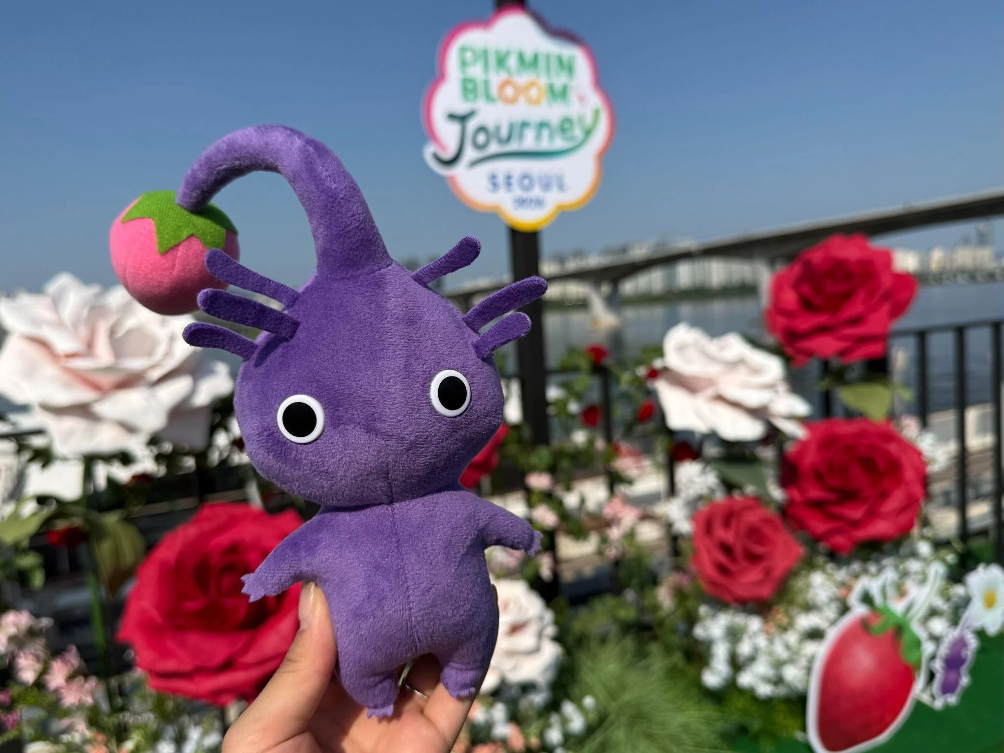 Pikmin Bloom「Pikmin Bloom Journey」韩国首尔落幕 与皮克敏一同漫步汝矣岛探索汉江沿岸