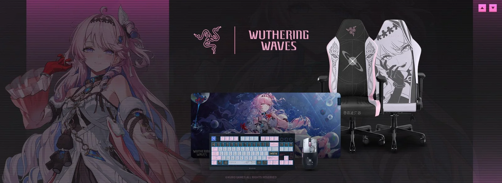 Razer与《鸣潮》合作推出达妮娅系列电竞周边键盘、滑鼠、电竞椅等待漂泊者们入手