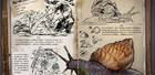 方舟生存进化手游生物图鉴大全——玛瑙螺