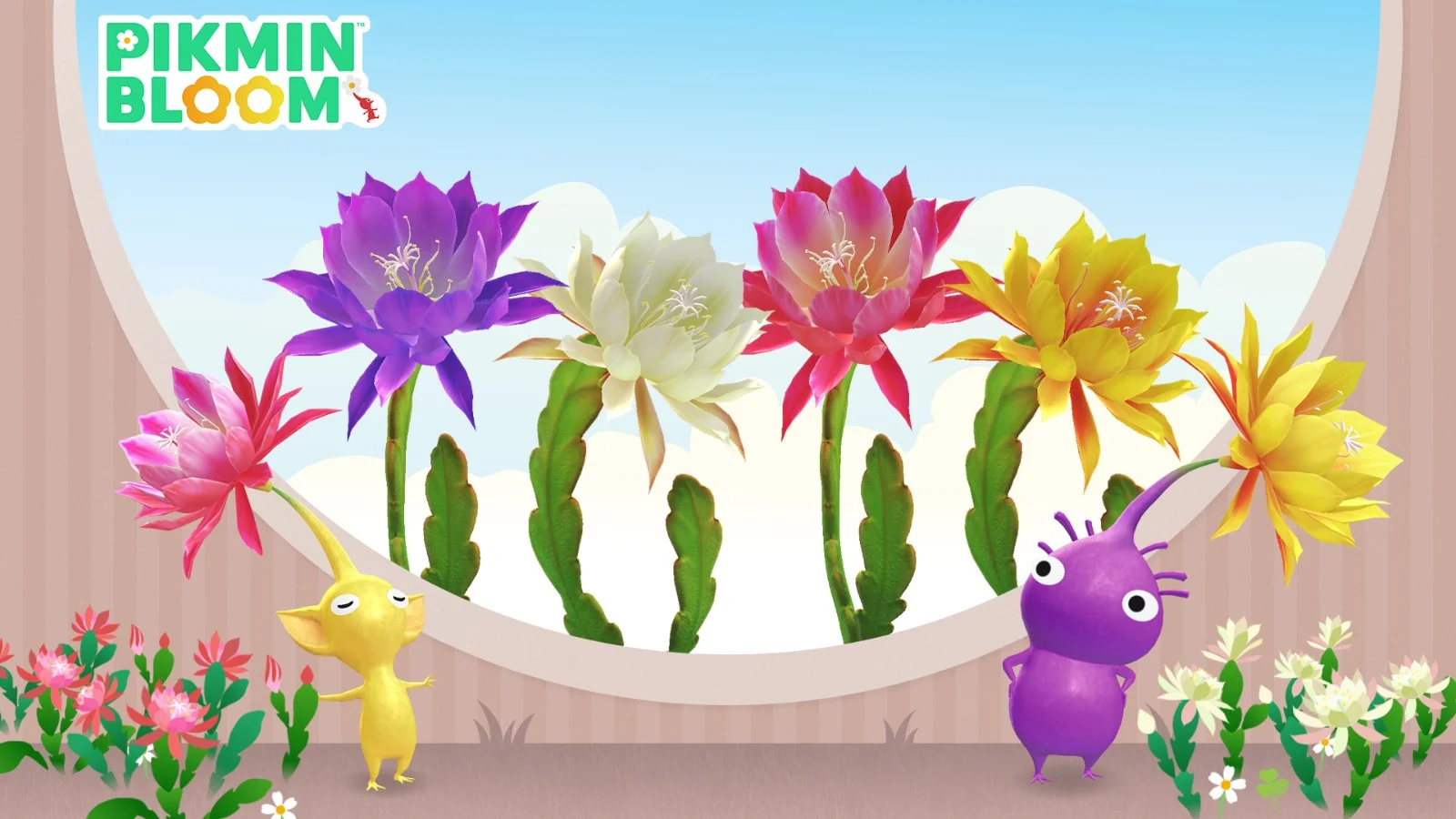 《Pikmin Bloom》公开7月花朵现混乱 公告写「仙人掌」社群称「昙花」